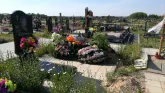 Захоронение ID 202809