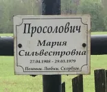 Захоронение ID 202739