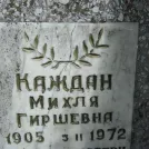 Захоронение ID 203319