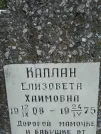 Захоронение ID 203359