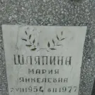 Захоронение ID 203779