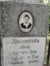 Захоронение ID 203901