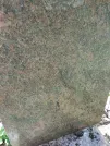 Захоронение ID 203965