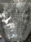 Захоронение ID 204201