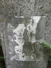 Захоронение ID 204391