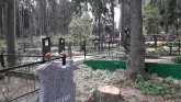 Захоронение ID 203334