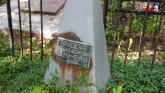 Захоронение ID 204709