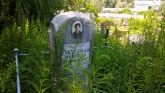 Захоронение ID 204748