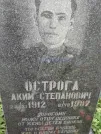 Захоронение ID 204818