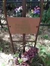 Захоронение ID 205037