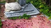 Захоронение ID 205109
