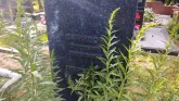 Захоронение ID 205159