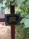 Захоронение ID 205513