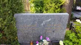 Захоронение ID 206554