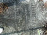 Захоронение ID 206645