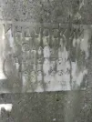 Захоронение ID 206691