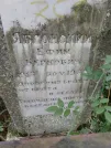 Захоронение ID 207159