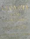 Захоронение ID 207205