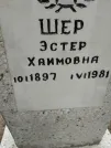 Захоронение ID 207263