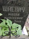 Захоронение ID 208565