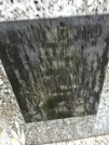 Захоронение ID 211036