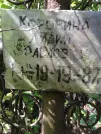 Захоронение ID 211042