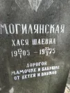 Захоронение ID 211679