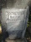 Захоронение ID 215437