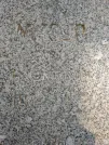 Захоронение ID 217573