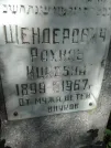 Захоронение ID 220261