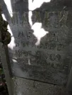 Захоронение ID 220318