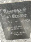 Захоронение ID 220327