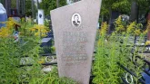 Захоронение ID 220968
