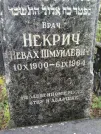 Захоронение ID 221784