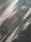 Захоронение ID 222163