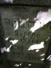 Захоронение ID 222195