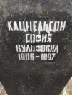 Захоронение ID 223235