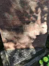 Захоронение ID 223286