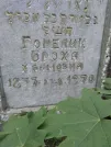 Захоронение ID 224629