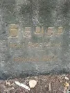 Захоронение ID 224755