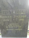 Захоронение ID 225727