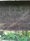 Захоронение ID 225786