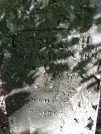 Захоронение ID 225805