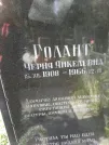 Захоронение ID 226555