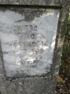 Захоронение ID 227832