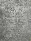 Захоронение ID 227844
