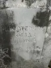 Захоронение ID 228669