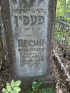 Захоронение ID 228736
