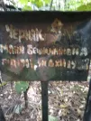 Захоронение ID 228772