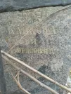 Захоронение ID 228787